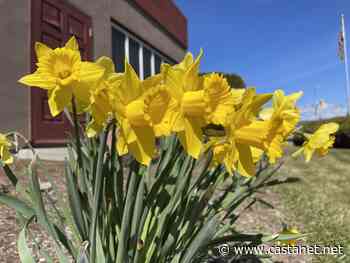 Environment Canada forecasting sunny weekend in Kamloops - Kamloops News - Castanet.net