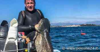 Il pesce siluro ha invaso il lago di Garda - La voce di Rovigo
