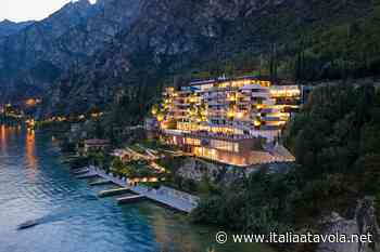 Eala, un cigno bianco sul Lago di Garda - Italia a Tavola