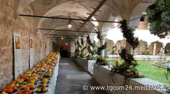 Limoni e agrumi del Garda in mostra a Gargnano - TGCOM