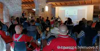 Navigazione sul Lago di Garda: i temi caldi dell'assemblea di Assonologarda-Confcommercio - TG Verona