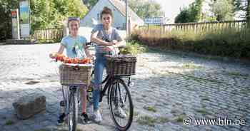Vlaamse Molendag: ook Zwalmmolen doet mee | Zwalm | hln.be - Het Laatste Nieuws