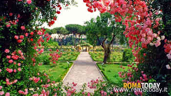 Il Roseto comunale riapre al pubblico: ingresso gratuito fino a giugno