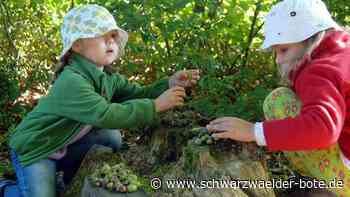 Waldkindergarten Althengstett: Trägerverein hofft auf Finanzspritze der Gemeinde für  zweite Gruppe