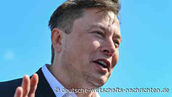 Elon Musk: Sinkende Geburtenraten sind größte Gefahr für die Menschheit