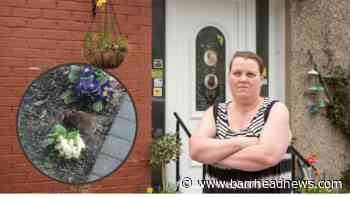 Barrhead mum issues plea for help to tackle rat infestation - Barrhead News