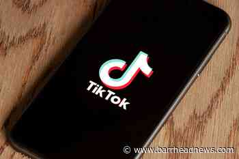 UK publishing industry helped to best year yet by TikTok trends - Barrhead News