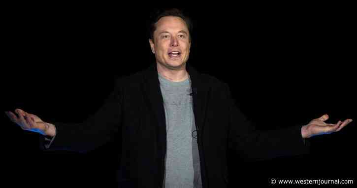 Top Pentagon Official Admits Elon Musk's Starlink Satellites Fought Off a Russian Attack Faster Than The US Military Could Have