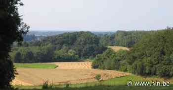 Verhoogd brandgevaar in Bertem- en Eikenbos | Bertem | hln.be - Het Laatste Nieuws