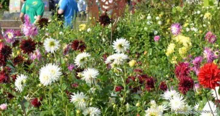 Endlich wieder: Tag der offenen Gärtnereien in Bamberg