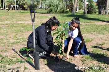 Impulsan concurso estudiantil para promover arborización de áreas públicas en Ayolas - - ip.gov.py
