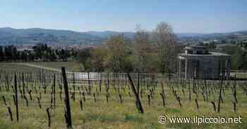 'Città del Vino': Acqui accolta nell'associazione nazionale - Il Piccolo