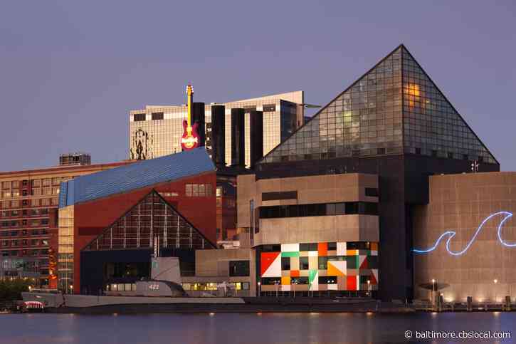 National Aquarium Pledges To Reach Net-Zero Emissions By 2035