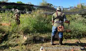 Birigui promove revitalização e limpeza nas hortas comunitárias - Folha da Região