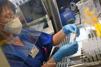 Corona-Liveblog: Fast 130 Neuinfektionen in Stadtlohn und vier Todesfälle - Münsterland Zeitung