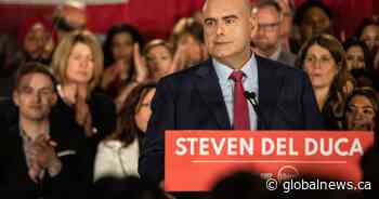 Ontario Liberals pledge to plant 800M trees over 8 years if elected, NDP say they’d plant 1B