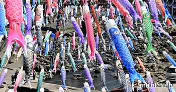 3500 carp streamers gracefully 'swim' above river at southwest Japan onsen resort - The Mainichi - The Mainichi