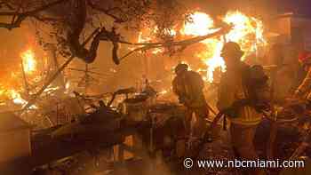 Man Escapes Miami House Fire, But Pet Dog Found Dead Inside