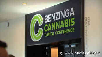 Cannabis Conference Takes Place in Miami Beach