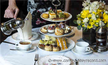 Temptation in a teapot - Comox Valley Record