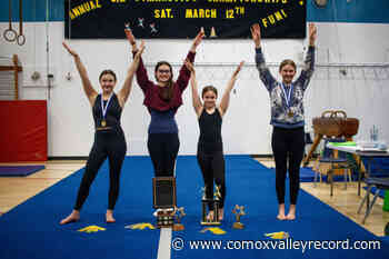 Courtenay recreational gymnasts excel at gymnastics championships - Comox Valley Record