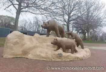 Kelowna RCMP investigating after children suffer burn-like injuries at park – Comox Valley Record - Comox Valley Record