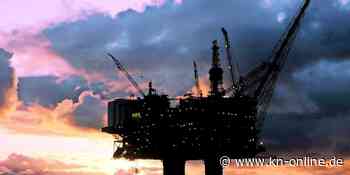 Katze wird fünf Jahre vermisst - auf Bohrinsel entdeckt