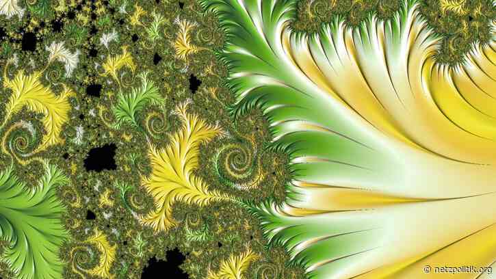 KW 16: Die Woche, als Europas „digitales Grundgesetz“ vor der Tür stand