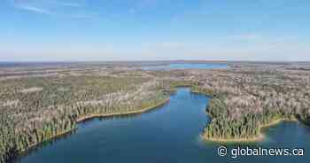 Swath of boreal forest twice the size of Toronto to be protected in northern Ontario