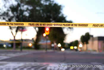 Co-accused in skatepark stabbing pleads guilty - The Brandon Sun