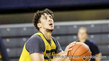 Michigan basketball F Brandon Johns Jr. transfer: commits to VCU - WolverinesWire