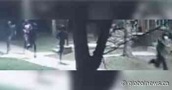 ‘Multiple suspects’ tied to early Monday shooting in Hamilton’s east end: police - Global News