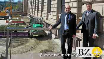 Mehr Grün an Braunschweigs Anton-Ulrich-Museum