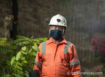 Peñoles y Fresnillo plc reiteran compromiso con el medio ambiente - NTR Zacatecas .com