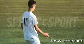 Vercelli ha il suo Lewandowski: 5 gol in una partita - Sprint e Sport