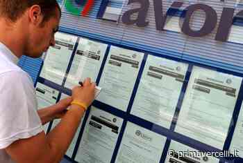 Offerte lavoro: diverse opportunità dal territorio - Prima Vercelli