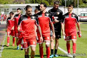 Calcio Serie C - Pro Vercelli agguerrita: un ostacolo in più per il Mantova | la Voce Di Mantova - La Voce di Mantova