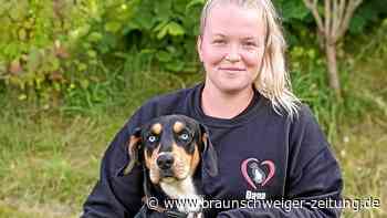 Aufnahmestopp für Hunde im Tierheim Salzgitter