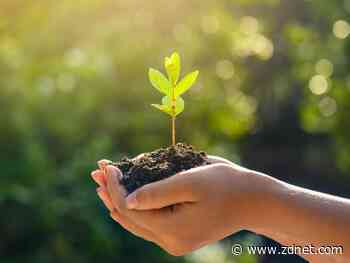 The risk of greenwashing