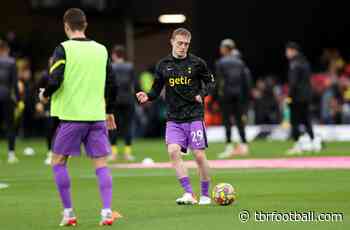 Report: Oliver Skipp loving working with Conte at Tottenham - TBR - The Boot Room - Football News