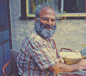 Play and Devotion with Oliver Sacks - Orion Magazine