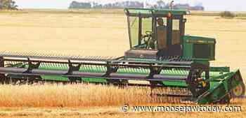 Agrimart: Saskatchewan farmland rents remained stable last year - Moose Jaw Today