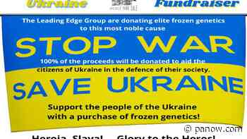 Saskatchewan farmers host auction, raise $24000 for Ukraine - paNOW