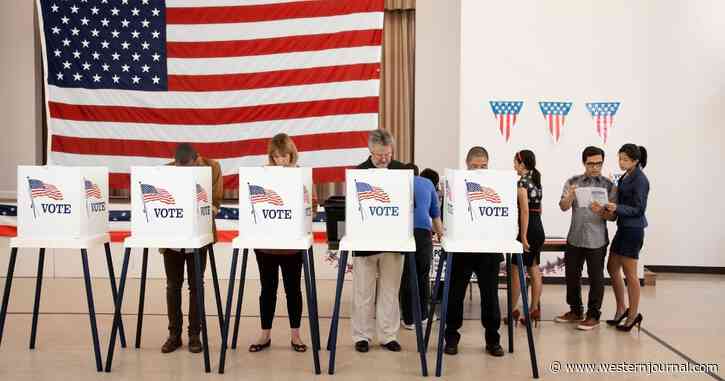 NY Appeals Court Shuts Down New Congressional Map Designed to 'Favor Democrats'