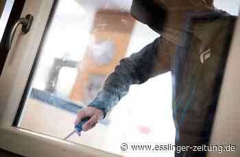 Diebstahl in Leinfelden-Echterdingen - Luxus-Handtaschen gestohlen - esslinger-zeitung.de