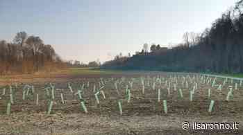 Nuovo parco alle porte di Saronno: ok da Turate - ilSaronno