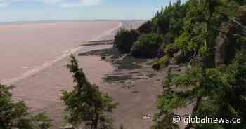 N.B. tourism sector ‘cautiously optimistic’ inflation and fuel prices won’t diminish season