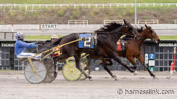 Close finishes in Provost Memorial Trot prelims - Harnesslink
