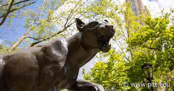 2022 Provost's Award for Excellence in Doctoral Mentoring winners announced - Pitt