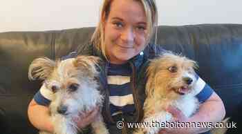 Bolton: Dog owner overjoyed as stolen pets found in Farnworth - The Bolton News